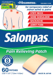 SALONPAS PAIN REL PTCH 20